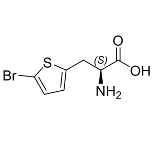L-2-(5-Bromothienyl)alanine 154593-58-5 C7H8BrNO2S 0 g/mol L-3-(2-(5-Br-Thienyl))-alanine;3-(5-BroMothien-2-yl)-L-alanine;(S)-2-AMino-3-(5-broMothiophen-2-yl)propanoic acid;(S)-2-amino-2-(5-bromothiophen-2-yl)propanoic acid;-2-Amino-3-(5-bromothiophen-2-yl) AminoPrimeCentral.com,custom Amino Acid Derivatives,custom Peptides,sales@aminoprimecentral.com