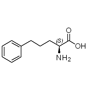 H-Nva(5-phenyl)-OH 62777-25-7 C11H15NO2 193.24 g/mol H-NVA(5-PHENYL)-OH;L-2-AMINO-5-PHENYL-PENTANOIC ACID;L-Nva(5-phenyl)-OH;L-PEA AminoPrimeCentral.com,custom Amino Acid Derivatives,custom Peptides,sales@aminoprimecentral.com