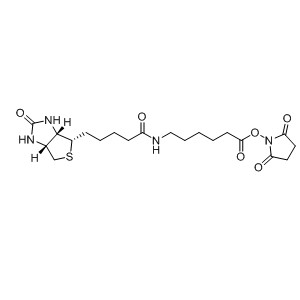 Biotin-AC5-OSU 72040-63-2 C20H30N4O6S 454.55 g/mol 6-[5-(2-OXO-HEXAHYDRO-THIENO[3,4-D]IMIDAZOL-4-YL)-PENTANOYLAMINO]-HEXANOIC ACID 3-HYDROPEROXYSULFONYL-2,5-DIOXO-PYRROLIDIN-1-YL ESTER SODIUM SALT;6-((BIOTINOYL)AMINO)HEXANOIC ACID, SUCCINIMIDYL ESTER;6-[( )-BIOTINYL]AMINOCAPROIC ACID N-HYDROXYSUCCINIMDE ESTER;D-BIOTIN-AMIDOCAPROATE-N-HYDROXYSUCCINIMIDE ESTER;D-BIOTINOYL-EPSILON-AMINOCAPROIC ACID-N-HYDROXYSUCCINIMIDE ESTER;D-BIOTINYL-EPSILON-AMINOCAPROIC ACID-N-HYDROXY-SUCCINIMIDE ESTER;BIOTINYL-EPSILON-AMINOCAPROIC ACID-N-HYDROXYSUCCINIMIDE ESTER;BIOTIN-X-NHS AminoPrimeCentral.com,custom Amino Acid Derivatives,custom Peptides,sales@aminoprimecentral.com
