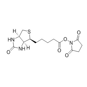 BIOTIN-NHS 35013-72-0 C14H19N3O5S 341.38 g/mol SUCCINIMIDO-( )-BIOTIN;SUCCINIMIDYL D-BIOTIN;N-HYDROXYSUCCINIMIDOBIOTIN;NHS-BIOTIN;NHS-D-BIOTIN;N-SUCCINIMIDYL D-BIOTINATE;N-SUCCINIMIDO-( )-BIOTIN;5-(2-OXO-HEXAHYDRO-THIENO[3,4-D]IMIDAZOL-6-YL)-PENTANOIC ACID 2,5-DIOXO-PYRROLIDIN-1-YL ESTERAminoPrimeCentral.com,custom Amino Acid Derivatives,custom Peptides,sales@aminoprimecentral.com