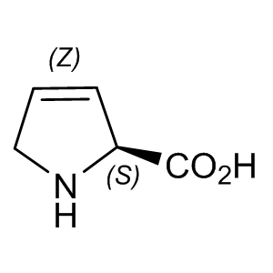 3,4-Dehydro-L-proline 4043-88-3 C5H7NO2 113.11 g/mol (s)-2,5-dihydro-1h-pyrrole-2-carboxylicacid ;5-dihydro-(s)-1h-pyrrole-2-carboxylicaci ;l-3,4-dehydroproline ;l-3-pyrroline-2-carboxylicaci ;3,4-DIDEHYDRO-L-PROLINE;3,4-DEHYDRO-L-PROLINE;3,4-DEHYDRO-L-PROLINE HYDROCHLORIDE;3,4-DEHYDRO-PROLINE AminoPrimeCentral.com,custom Amino Acid Derivatives,custom Peptides,sales@aminoprimecentral.com